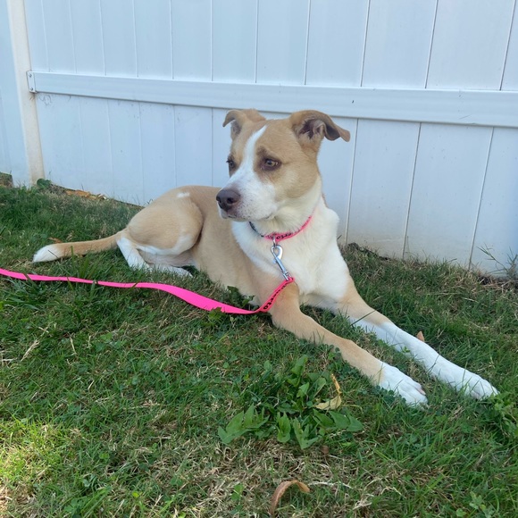 Meet your Posher, Ines - Picture 4 of 4